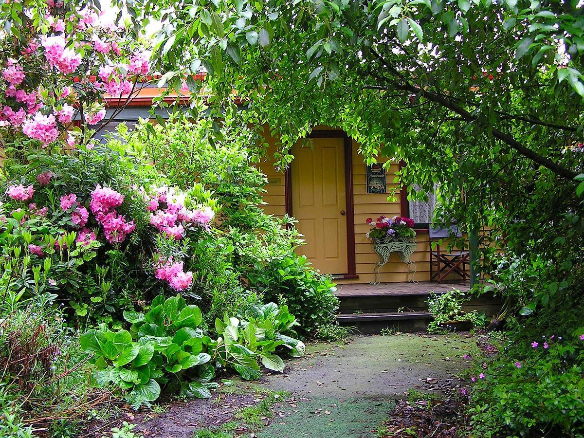 Lemonade Creek Cottages Lorne Exterior foto