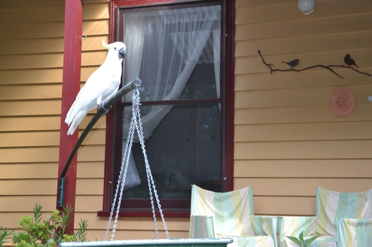 Lemonade Creek Cottages Lorne Exterior foto