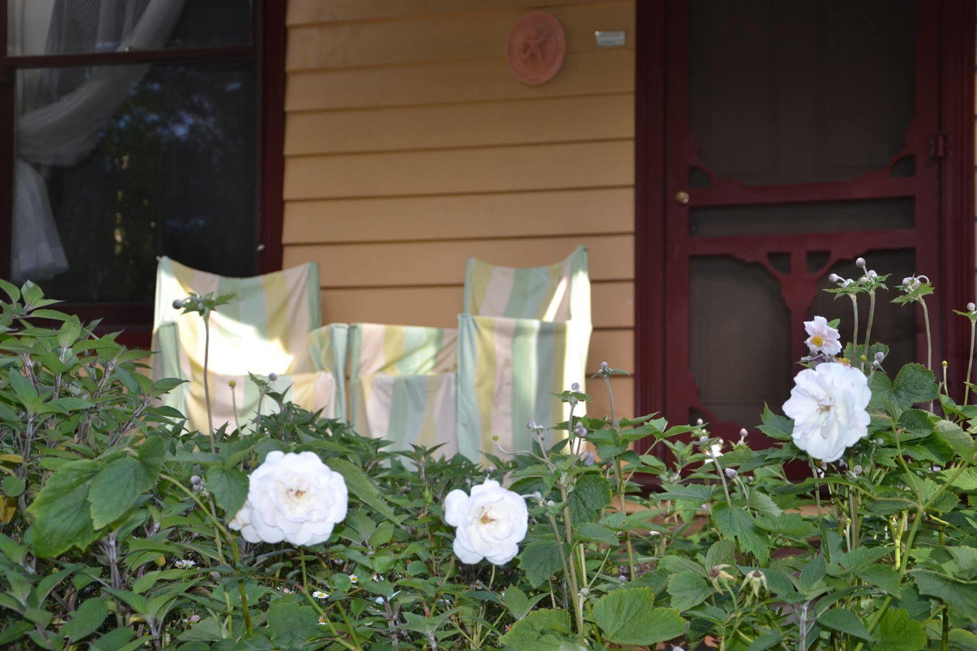 Lemonade Creek Cottages Lorne Exterior foto